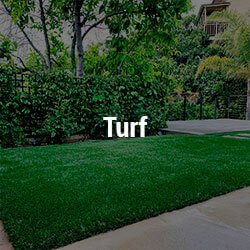 Turf.jpg