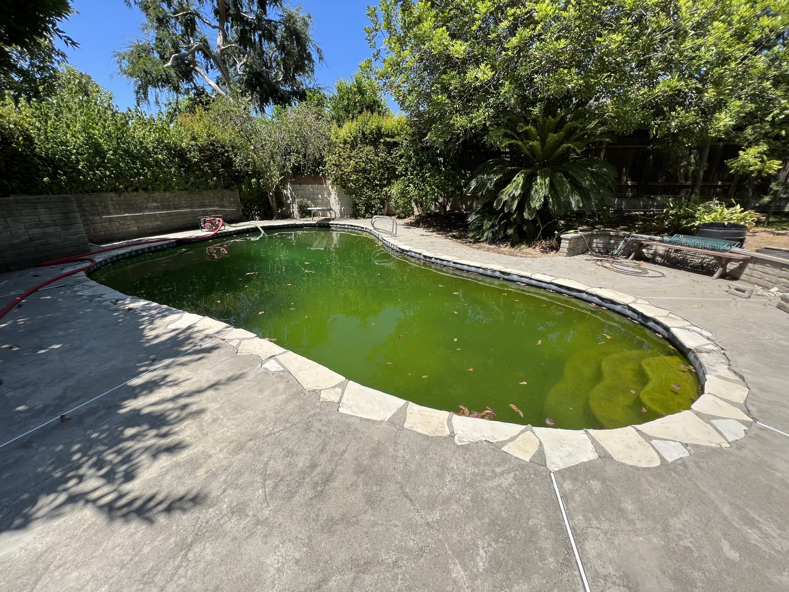pool removal cost